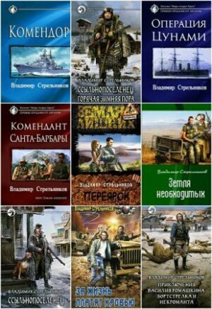 Стрельников  Владимир ( 13 книг)  