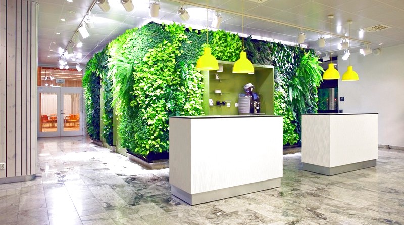 Вертикальное озеленение офиса