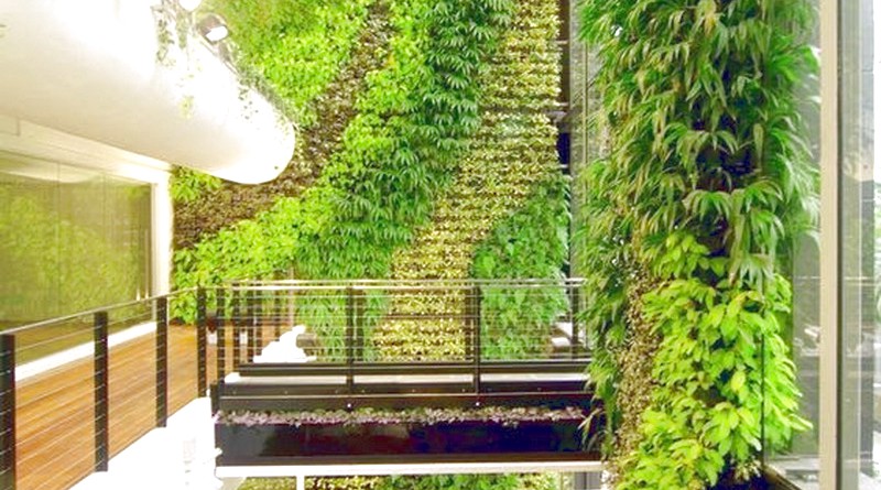 Вертикальне озеленення будинку