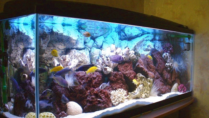 Морський акваріум під замовлення