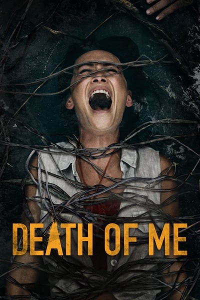 Death of Me 2020 720p WEB DL XviD AC3-FGT