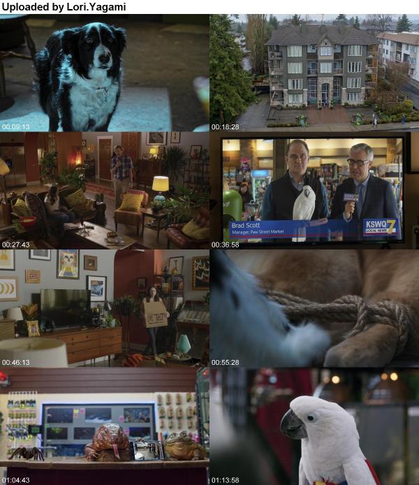 Cats Dogs 3 Paws Unite 2020 1080p BluRay x265-RARBG