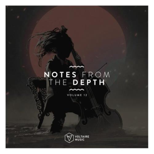 Notes From The Depth, Vol. 12 (2020)