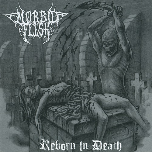 Morbid Flesh - Reborn In Death (2011) Lossless+mp3