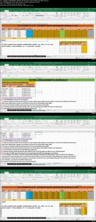 Complete Payroll Management in Microsoft Excel & TALLY ERP9