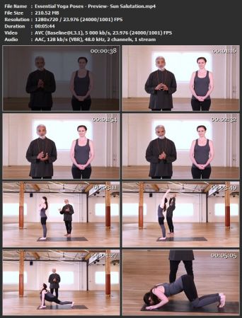 Alomoves - Essential Yoga Poses