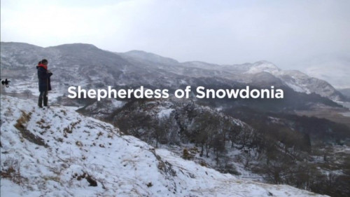 BBC Our Lives - Shepherdess of Snowdonia (2018)