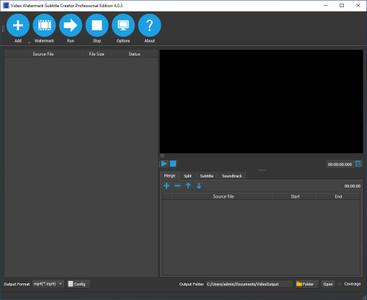 Video Watermark Subtitle Creator Professional 4.0.5 (x64)
