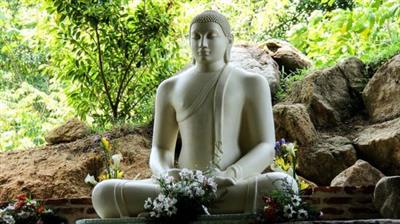 Vipassana Meditation Course Buddhas Meditation