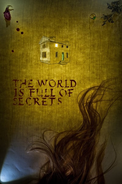 The World is Full of Secrets 2019 1080p WEB-DL DD2 0 H 264-EVO