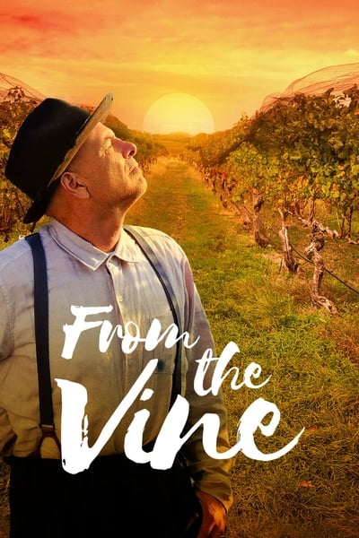 From the Vine 2019 WEB-DL XviD AC3-FGT