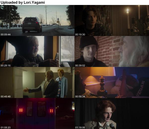 To Hell With Harvey 2019 1080p WEBRip x264 AAC-YTS