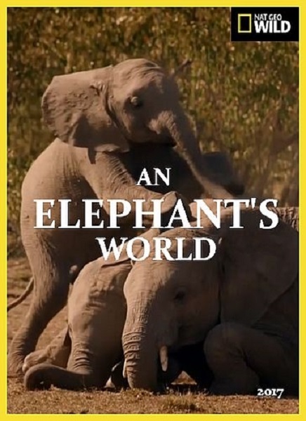 Почти человек. Жизнь слона / An Elephant's World (2017) HDTV 1080i