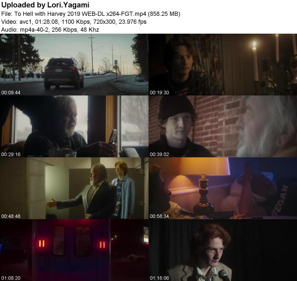 To Hell with Harvey 2019 WEB-DL x264-FGT