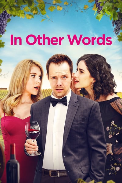 In Other Words 2020 WEB-DL x264-FGT