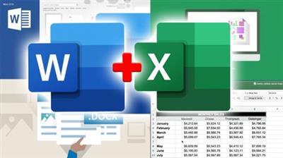 Office 365 Excel and Word BUNDLE - Beginner to expert