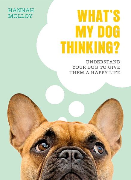 What/#039;s My Dog Thinking? Understand Your Dog to Give Them a Happy Life (DK)