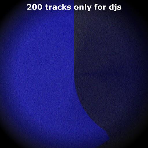 200 Tracks Only For Djs (Summer 2013) (2013)
