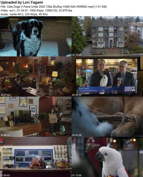 Cats Dogs 3 Paws Unite 2020 720p BluRay H264 AAC-RARBG
