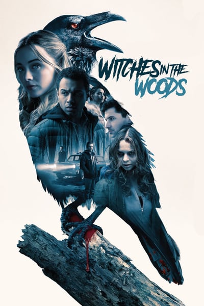 Witches In The Woods 2019 720p BluRay H264 AAC-RARBG