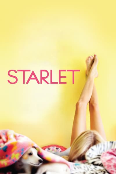Starlet 2012 1080p BluRay x265-RARBG