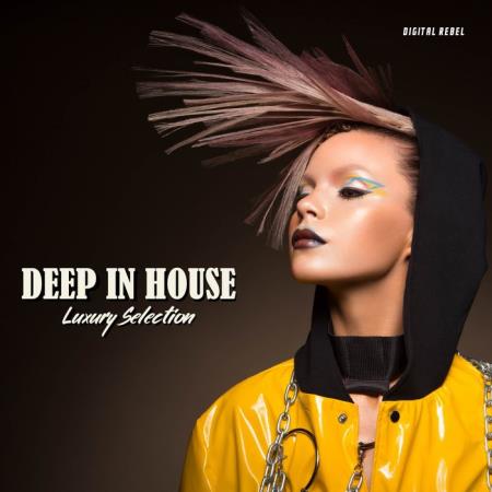 Deep In House (Luxury Selection) (2020)