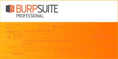 Burp Suite Professional 2020.9.2 Build 4265