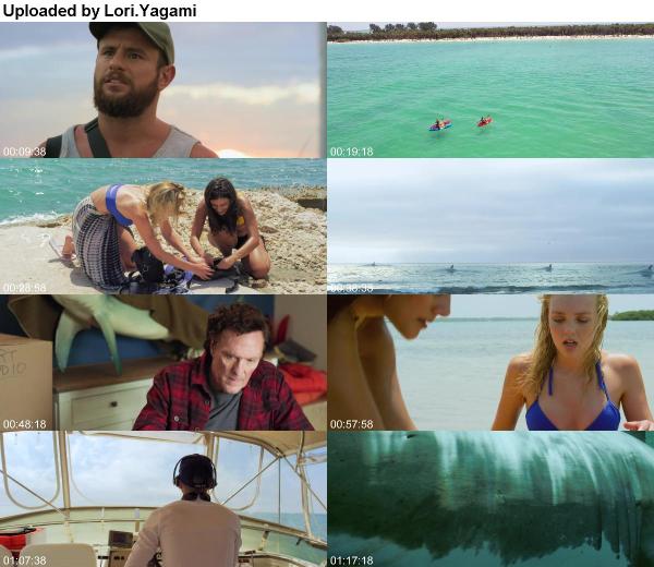 Shark Season 2020 1080p BluRay x264-HANDJOB