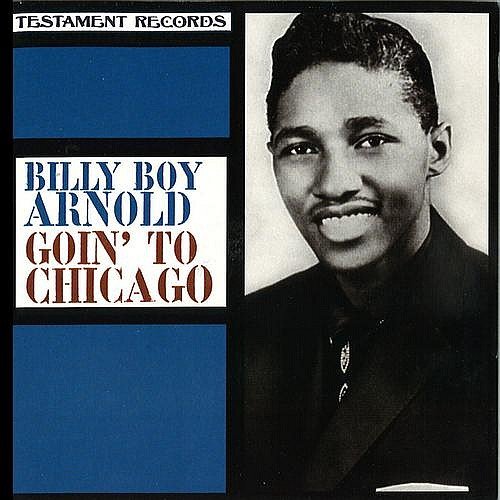Billy Boy Arnold - Goin To Chicago (1995) [lossless]