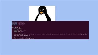 Linux System Programming 2020