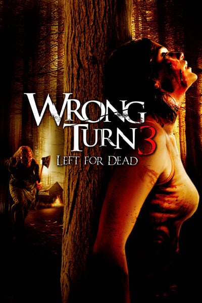 Wrong Turn 3 Left For Dead 2009 1080p BluRay x265-RARBG
