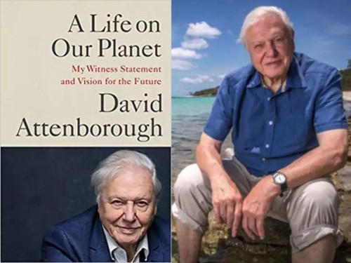 Netflix - David Attenborough A Life on our Planet (2020)