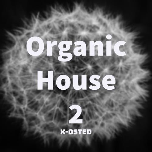 Organic House 2 (2020)
