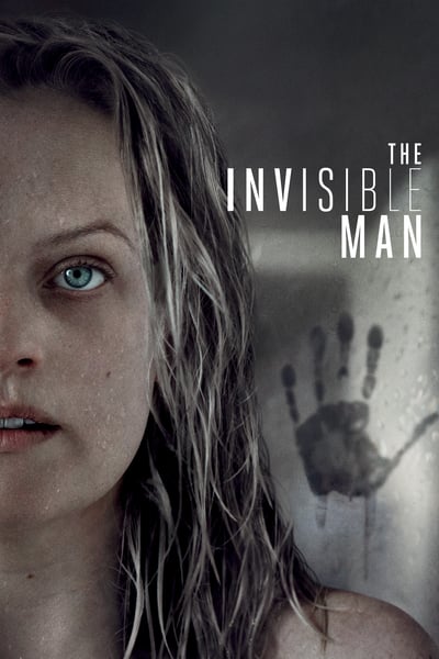 The Invisible Man 2020 1080p BluRay x265-RARBG
