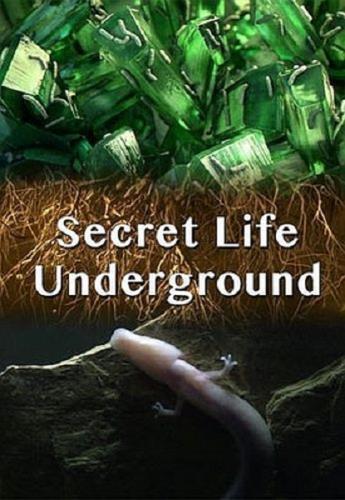 Тайны подземного мира / Secret Life Underground (2015) HDTV 1080i