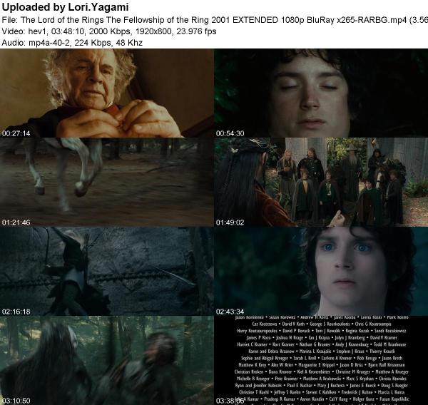 The Lord of the Rings The Fellowship of the Ring 2001 EXTENDED 1080p BluRay x265-RARBG