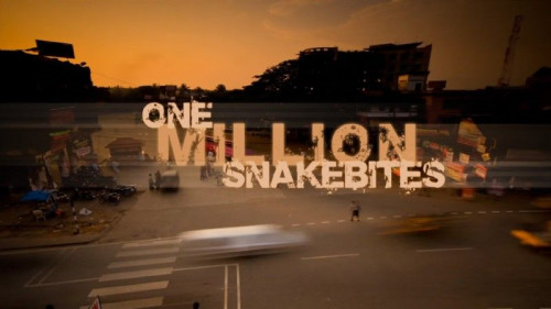 BBC Natural World - One Million Snake Bites (2011)