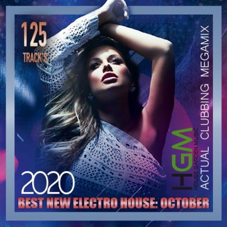 HGM: Best New Electro House (2020)