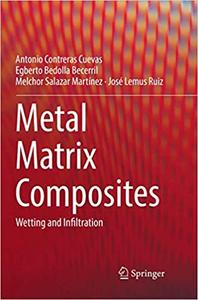 Metal Matrix Composites Wetting and Infiltration