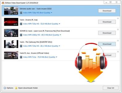 DLNow Video Downloader 1.45.2020.11.01.1 Multilingual Portable