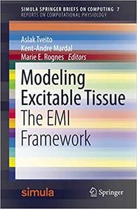 Modeling Excitable Tissue The Emi Framework