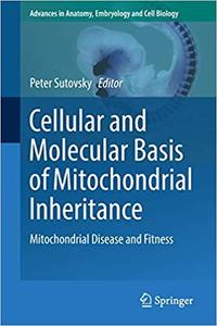 Cellular and Molecular Basis of Mitochondrial Inheritance Mitochondrial Disease and Fitness