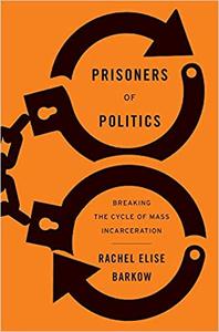 Prisoners of Politics Breaking the Cycle of Mass Incarceration