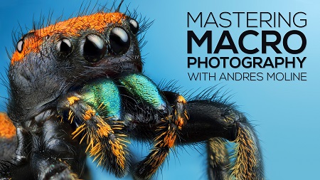 Fstoppers - Mastering Macro Photography - The Complete Shooting and Editing Tutorial
