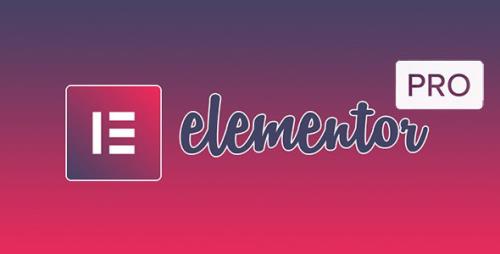 Elementor Pro v3.0.6 / Elementor v3.0.13 - Live Page Builder For WordPress - NULLED + Page Archive & Popup Templates