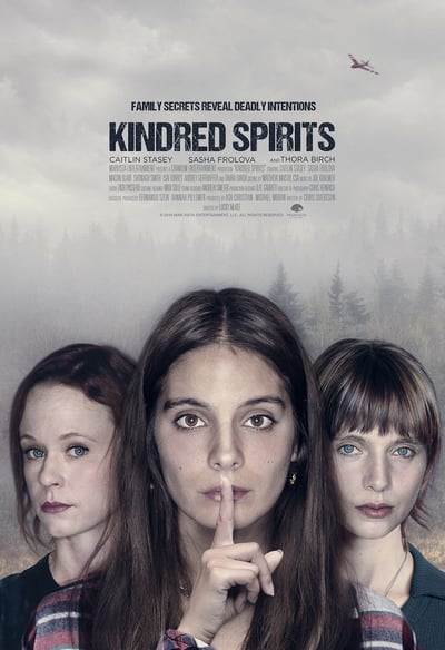 Kindred Spirits 2019 1080p WEBRip x265-RARBG
