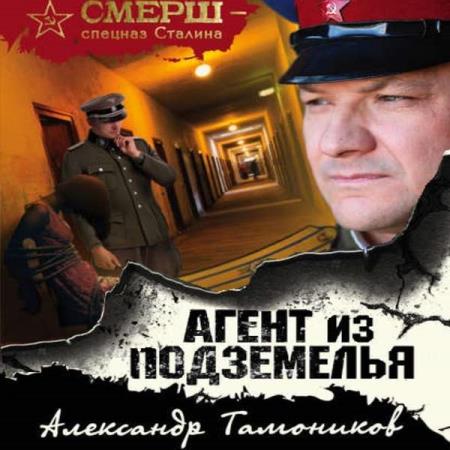 Александр Тамоников. Агент из подземелья (Аудиокнига)
