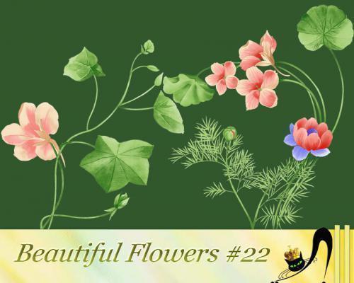 Beautiful Flowers #22 (PNG)
