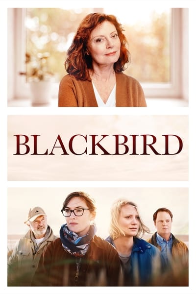 Blackbird 2019 1080p BluRay x265-RARBG