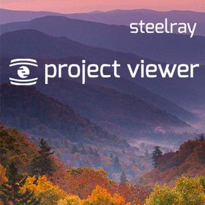 Steelray Project Viewer 2020.11.94